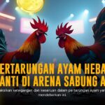 Mengulik Keistimewaan Ayam Bangkok dalam Sabung Ayam SV388