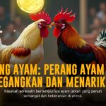 Rahasia Genre Sabung Ayam SV388 yang Bikin Ketagihan