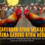 Mengenal Ayam Saigon: Raja Kontes Sabung Ayam Online