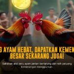 Mengupas SV388: Platform Sabung Ayam Online Terpercaya