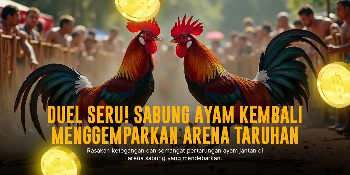 Mengenal Ayam Bangkok: Raja Sabung Ayam Penuh Pesona